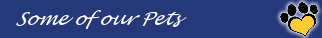 Petware House
