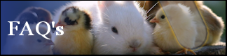 Petwarehouse Fort Wayne - Frequently Asked Questions