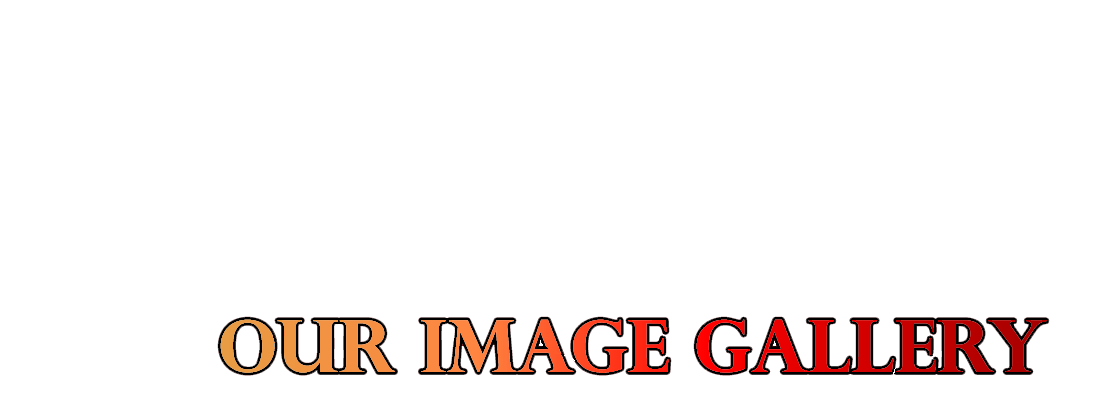 Overlay | Our Image Gallery
